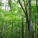 Semesterbostad La Roche Cozy Forest Escape Marcouray