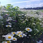 La Roche Cozy Forest Escape * Marcouray