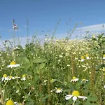 La Roche Cozy Forest Escape