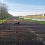 La Roche Cozy Forest Escape Nyaraló *