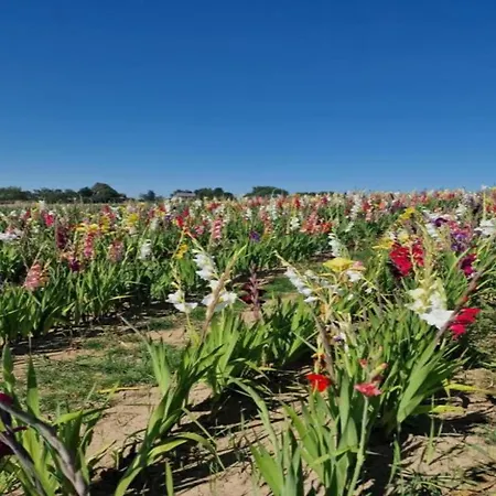 Holiday home La Roche Cozy Forest Escape