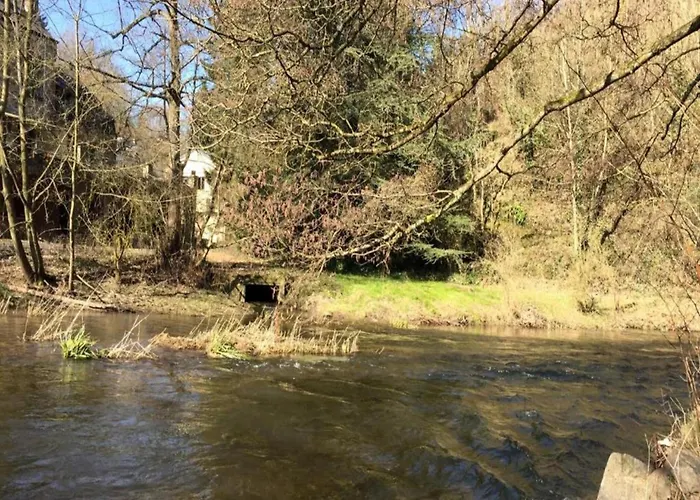 La Roche Cozy Forest Escape Marcouray