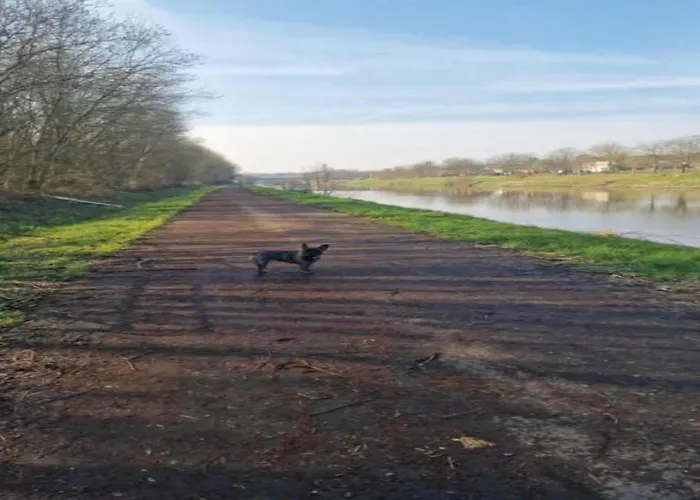 La Roche Cozy Forest Escape Holiday home *